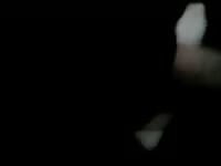 Sex female boxer Gaybeast.com - Dude and animal Porn