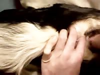 Sex with my girl Gaybeast.com - Animal Porn Man