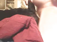 Sexy gsd gets pounded Gaybeast.com - Bestiality Sex video with man