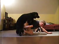 Share Gaybeast - Beastiality Man