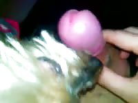 She enjoying my cock and cum Gaybeast - Man fucks animal