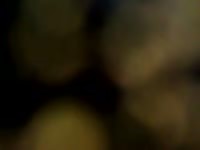 Sheath fucki Gaybeast.com - Man fucks animal