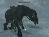 Skyrim horse and khajiit Gaybeast - Zoophilia Man