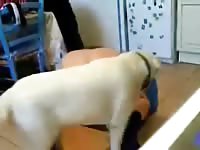Slave for my dog Gaybeast - Beastiality with Dude