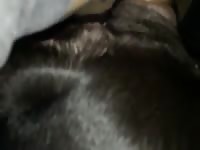 Slo mo ts bitch Gaybeast - Beastiality with Dude