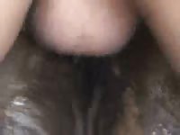 Sloppystallionseconds man fucks mare petlust