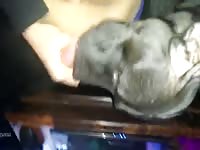 Slut licks my dick Gaybeast.com - Man fucks animal