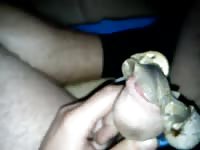 Snails Gaybeast.com - Zoophilia Porn and Man