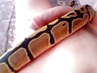 Snake lie me Gaybeast - Man and animal Porn