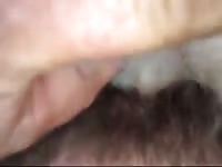 Softie Gaybeast.com - Dude and animal Porn