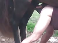 Stallion 5 Gaybeast.com - Man and animal Porn