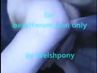Stallion horse fucks a man very hard Gaybeast - Man and animal Sex