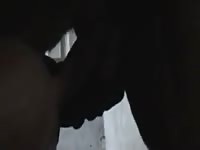 Stallion play 1 Gaybeast - Beastiality Man