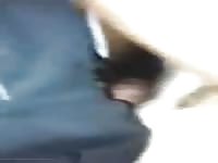 Stray bitch fuckers 1 Gaybeast.com - Dude fucks animal