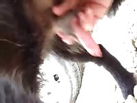 Stray dog jerk 5 Gaybeast - Dude fucks animal