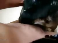Stretching her pussy with his cock Gaybeast.com - Zoophilia Man