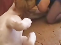 Sucking with buttplug Petsex.com - Dude and animal Sex