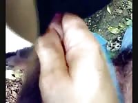 Sucknfuck Gaybeast - Zoophilia Sex and Man