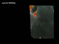 Hubbyfidomissionary oct23 2008 video heandi miss3