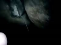 Hum Gaybeast.com - Man and animal Porn