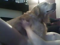 Hump lick
