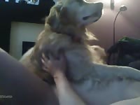 Hump lick1