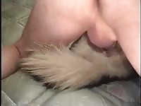 Hung bubble butt Gaybeast.com - Beastiality Man