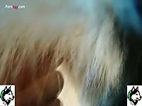 Husky 4 finger anal fisting