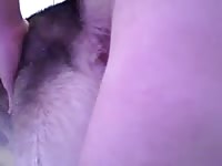 Husky bitch anal sex Gaybeast.com - Man fucks animal