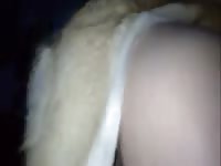 Husky fucks boy Gaybeast.com - Zoophilia Sex and Man