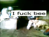 I and my girl sheep Gaybeast.com - Man and animal Sex