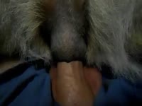 In deap Gaybeast.com - Zoophilia Porn and Man (2)