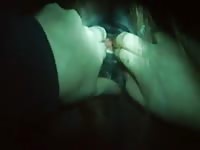 Innout hossbutt Gaybeast.com - Bestiality Sex video with man