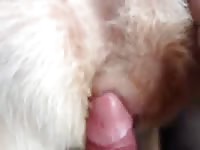 Ionutzoox18