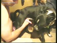 Jacking off a male pitt rottluver td masturbating male pitt buddy