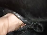 Japanese mare Gaybeast - Beastiality Man