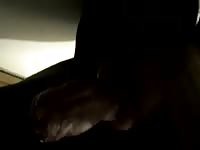 Jerkoff Gaybeast.com - Zoophilia Man