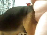 K9 anal play 081410 2 petlust gay zoo porn men and animal