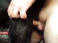 K9 anal play anal dog Petlust gay zoo porn men and animal
