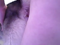 K9 anal play female dog anal 1 Petlust gay zoo porn men and animal