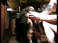 K9 anal play shatz ass dildo petlust gay zoo porn men and animal