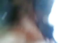 K9 bitch 1 Gaybeast.com - Zoophilia Man