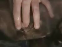 Kch 03 Gaybeast - Man fucks animal