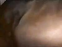 Kinky farmer gave his horse big d and creamed her Gaybeast - Zoophilia Man