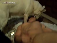 Kissing a german shepherd radzyn german shepherd white radzyn 015 1