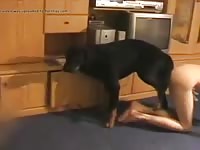 Knott hard Gaybeast - Dude fucks animal