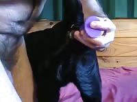 Lab anal dildo and fuck Gaybeast - Dude and animal Sex