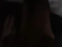 Licked 2 Gaybeast.com - Zoophilia Man