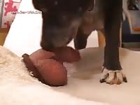 Licking clip tricky dick lick2