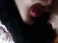 Licking cock 1 Gaybeast - Bestiality Sex video with man